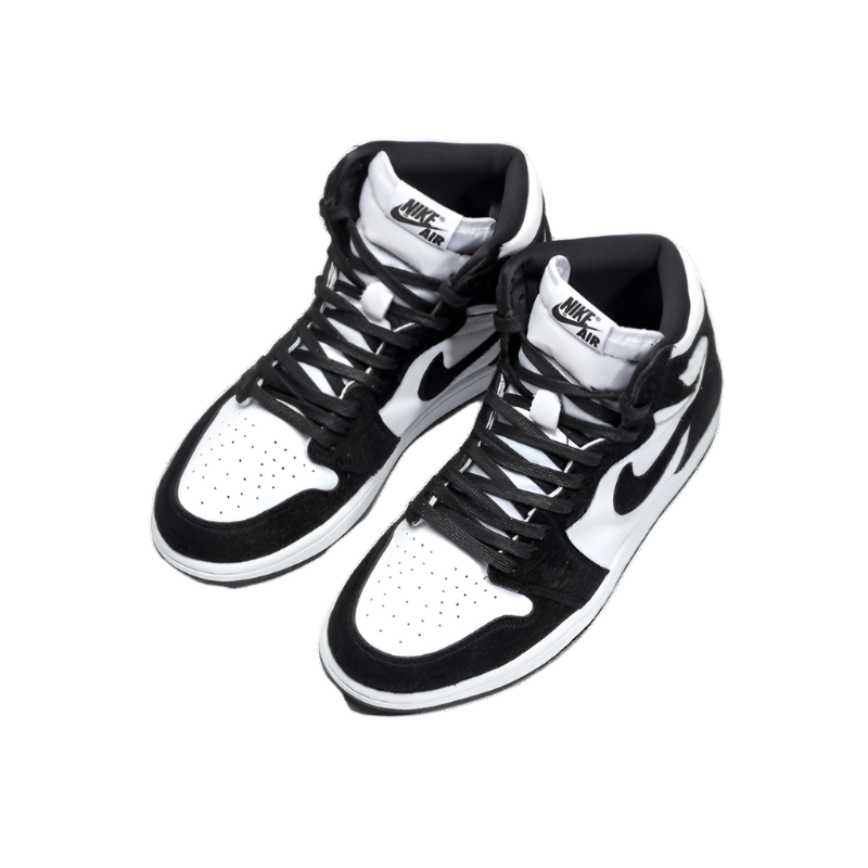 Nike Air Jordan 1 Black and White.