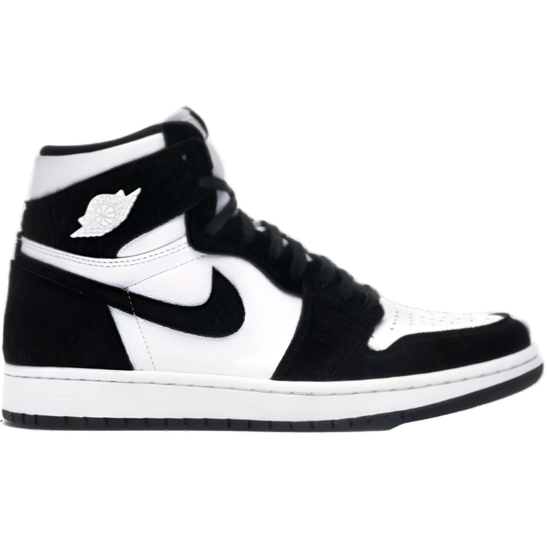Nike Air Jordan 1 Black and White.